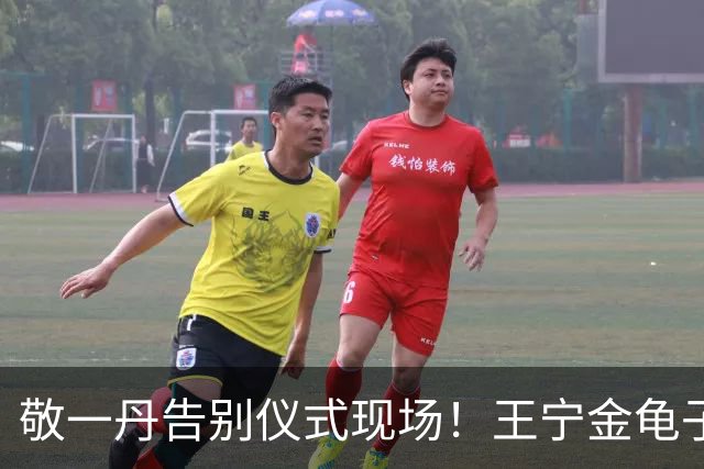 敬一丹告别仪式现场！王宁金龟子现身送别，多位主持人忍不住哭泣